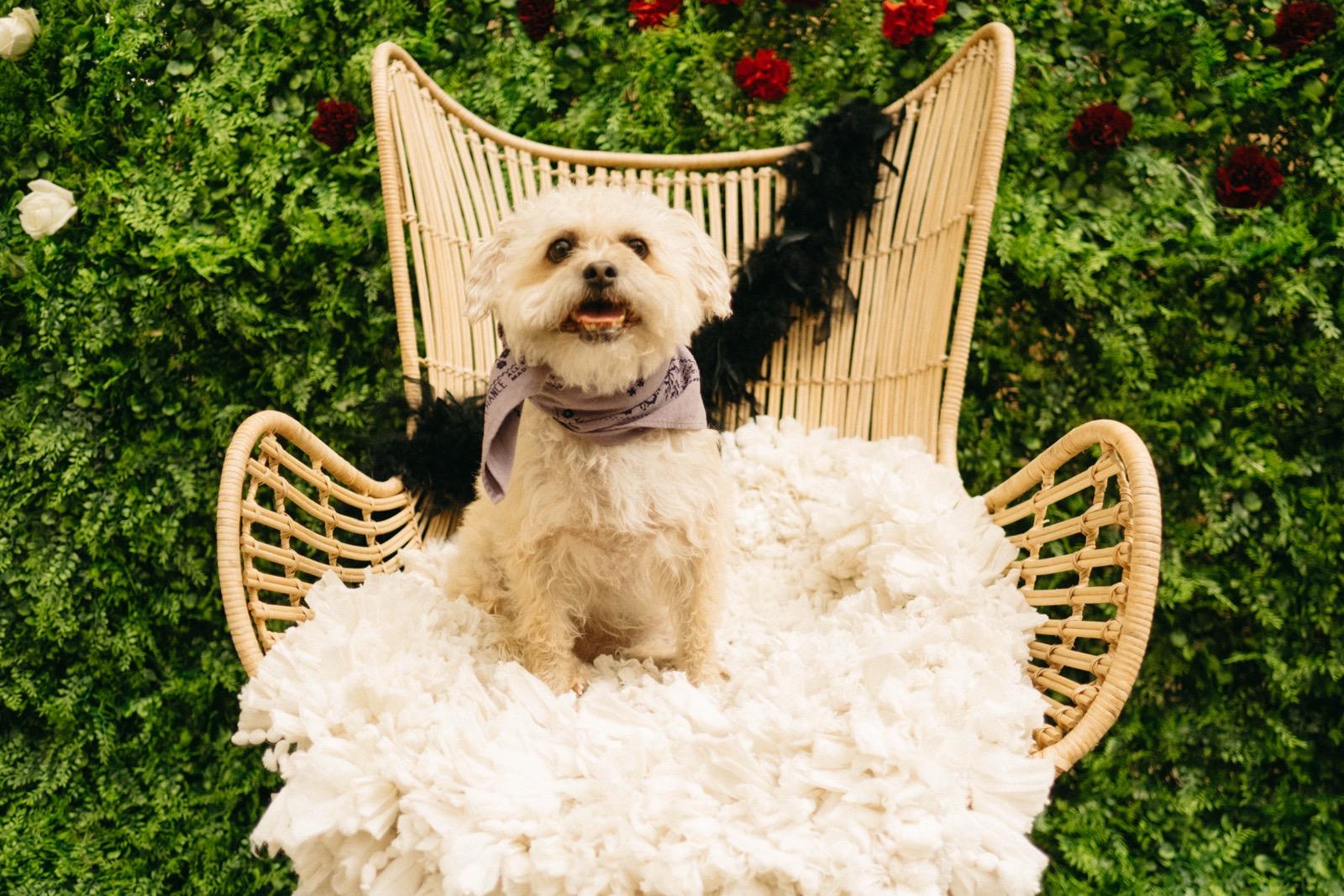 Daisy, Security and Planner at The Hytch