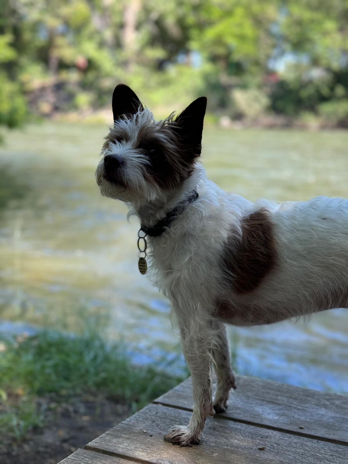 Benny, Security and Planner at The Hytch